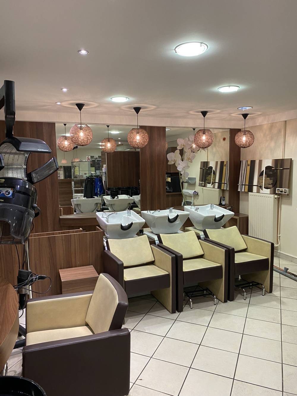 salon (4)